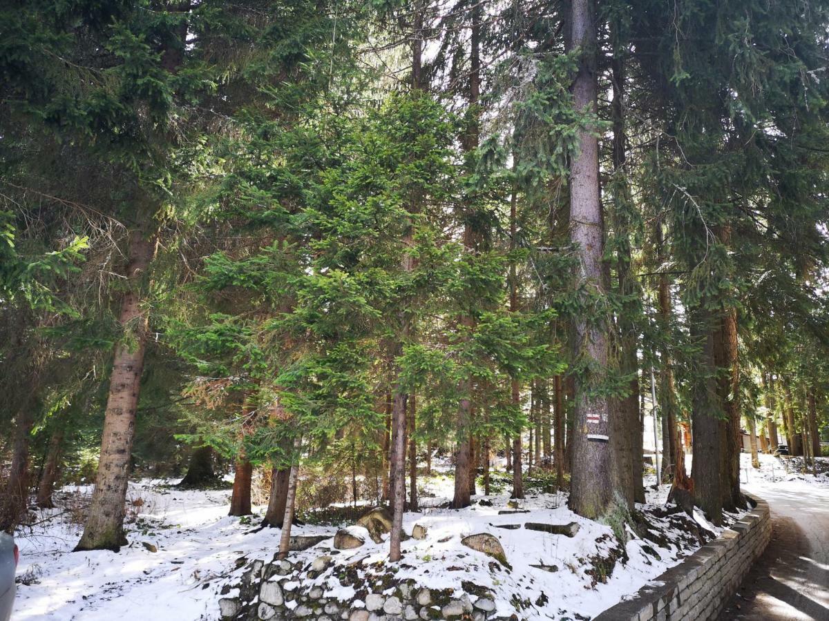 Excellent Studios For Your Vacation-Hotel Villa Park- Borovets Bagian luar foto