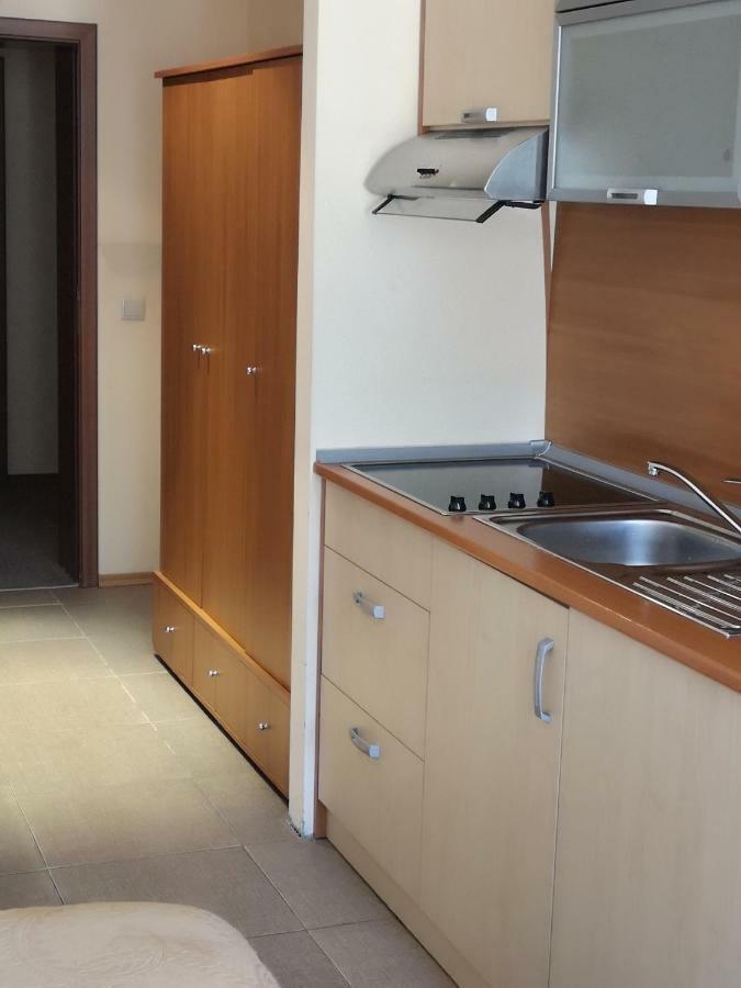 Excellent Studios For Your Vacation-Hotel Villa Park- Borovets Bagian luar foto
